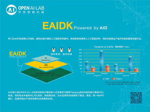 Open AI Lab聯(lián)合Arm中國、瑞芯微發(fā)布EAIDK 加速人工智能應(yīng)用軟件開發(fā)新篇章